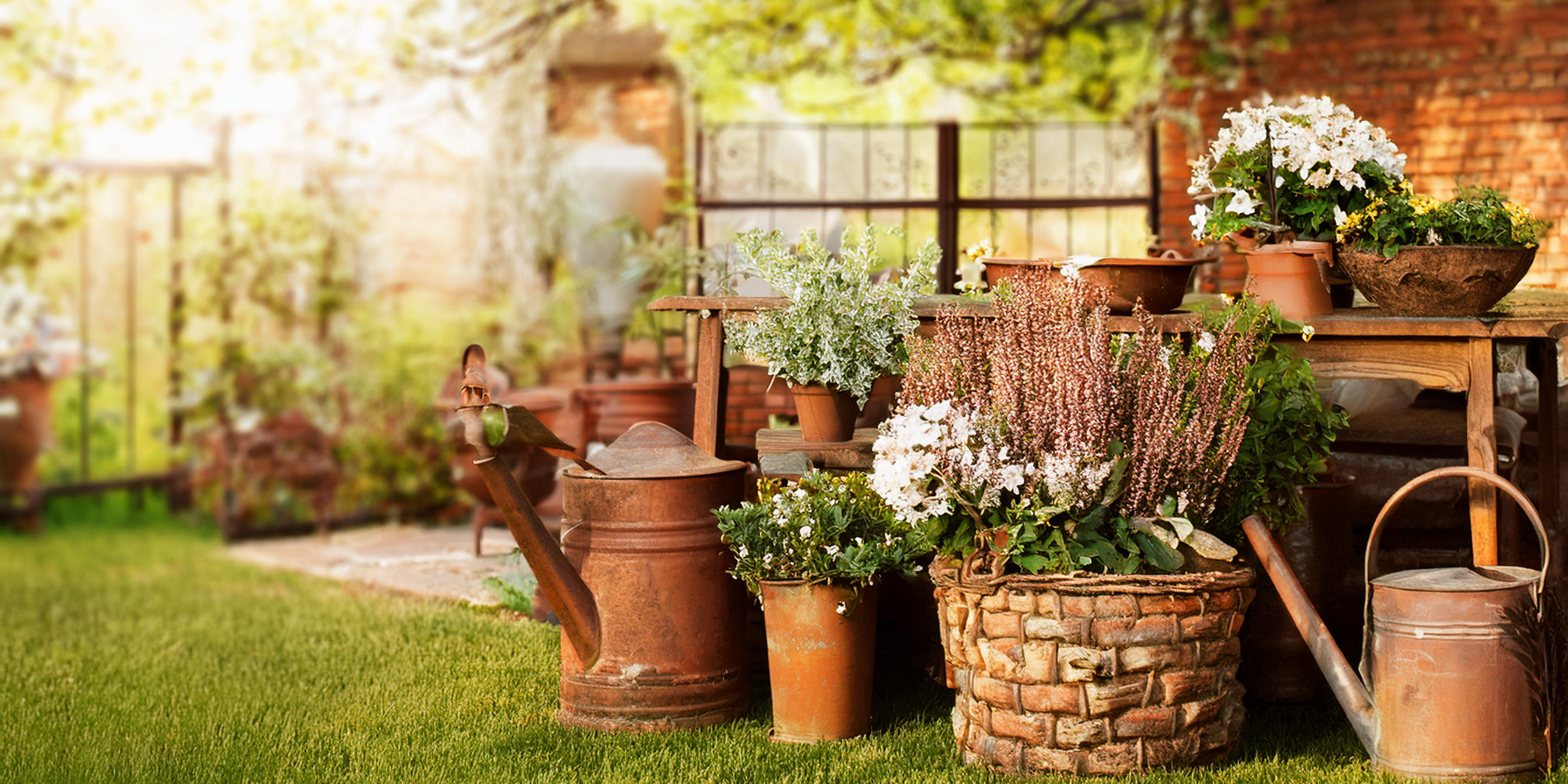 Household & garden